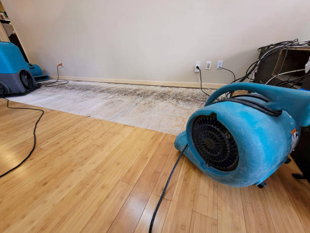 Professional Flood Damage Cleanup technician working in Sharples, WV